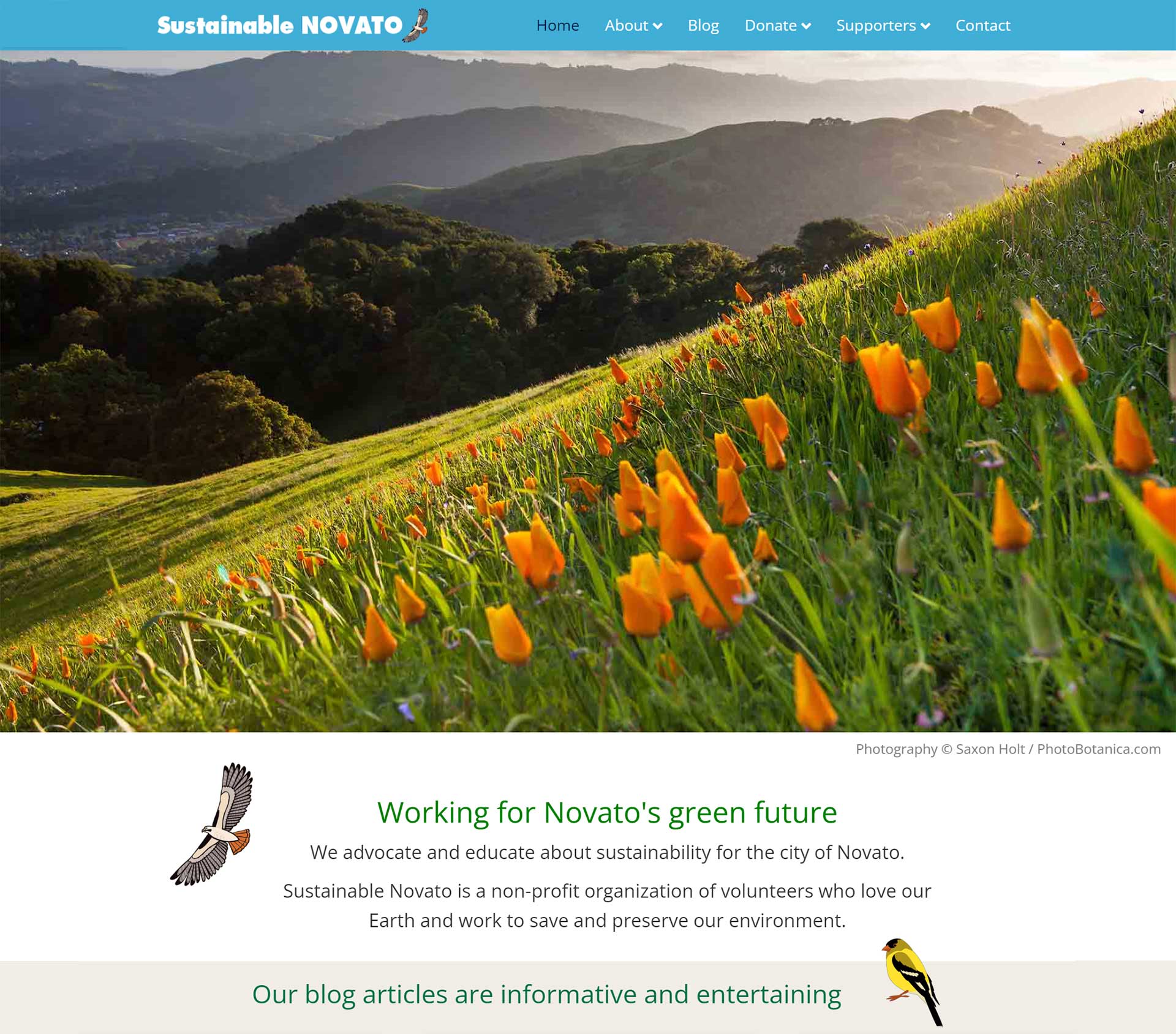 Sustainable Novato website design
